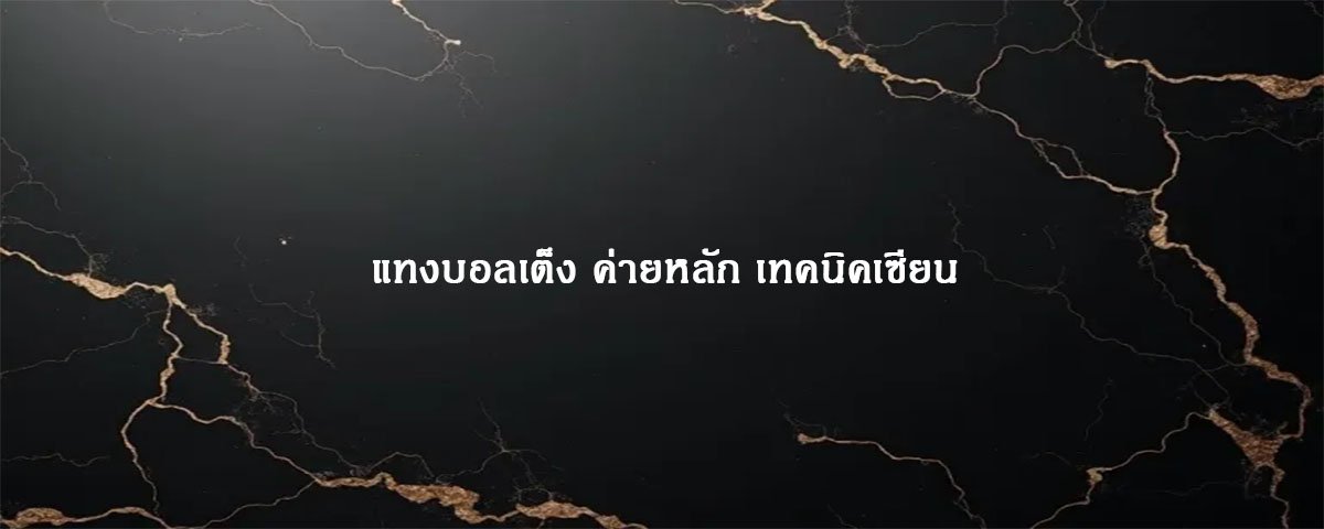 แทงบอลเต็ง ค่ายหลัก เทคนิคเซียน